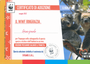 Cerficato Adozione Koala